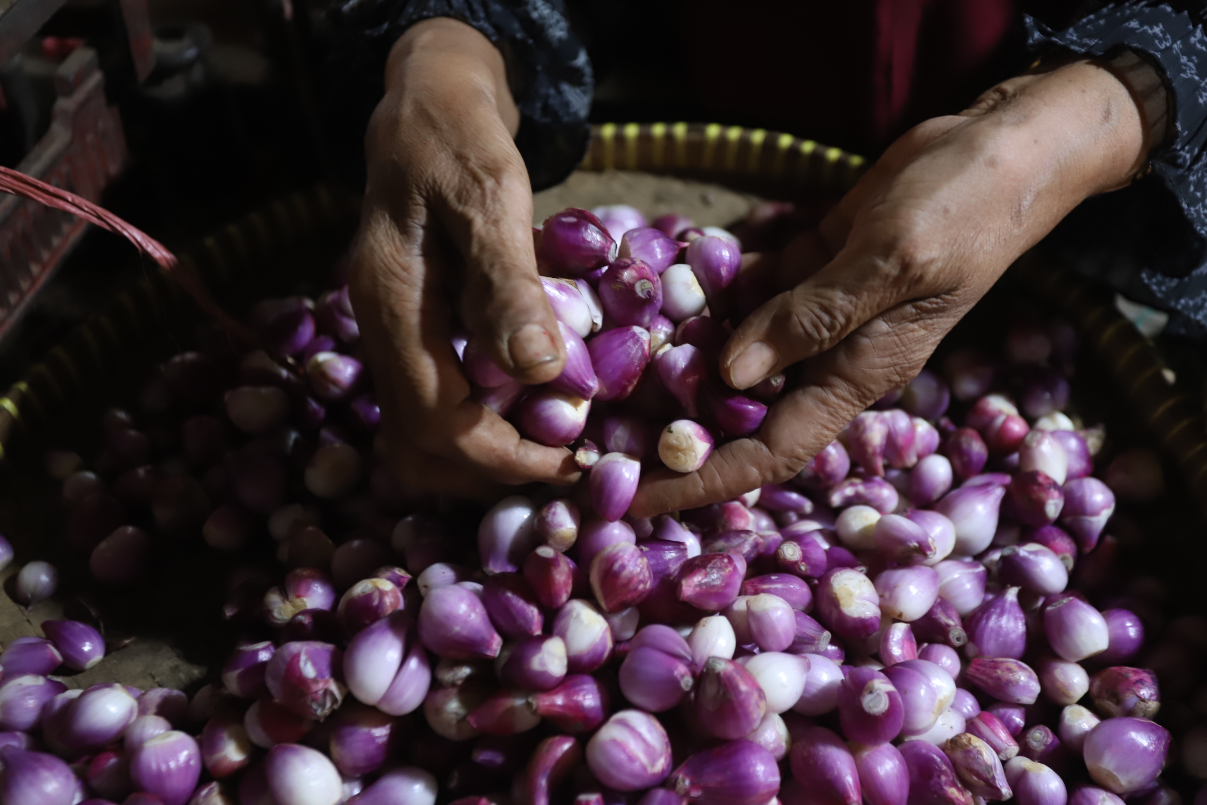 Pedagang menata bawang merah di pasar Kebayoran Lama, Jakarta, Kamis (2/5/2024).  (BeritaNasional.Com/Oke Atmaja)