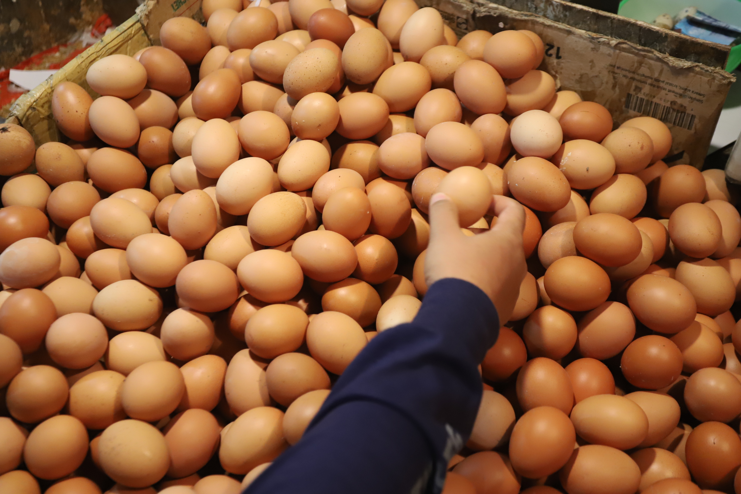 Pedagang saat merapihkan telur ayam di toko miliknya di Pasar Kebayoran Lama, Jakarta,Minggu (5/5/2024).  (BeritaNasional.Com/Oke Atmaja)