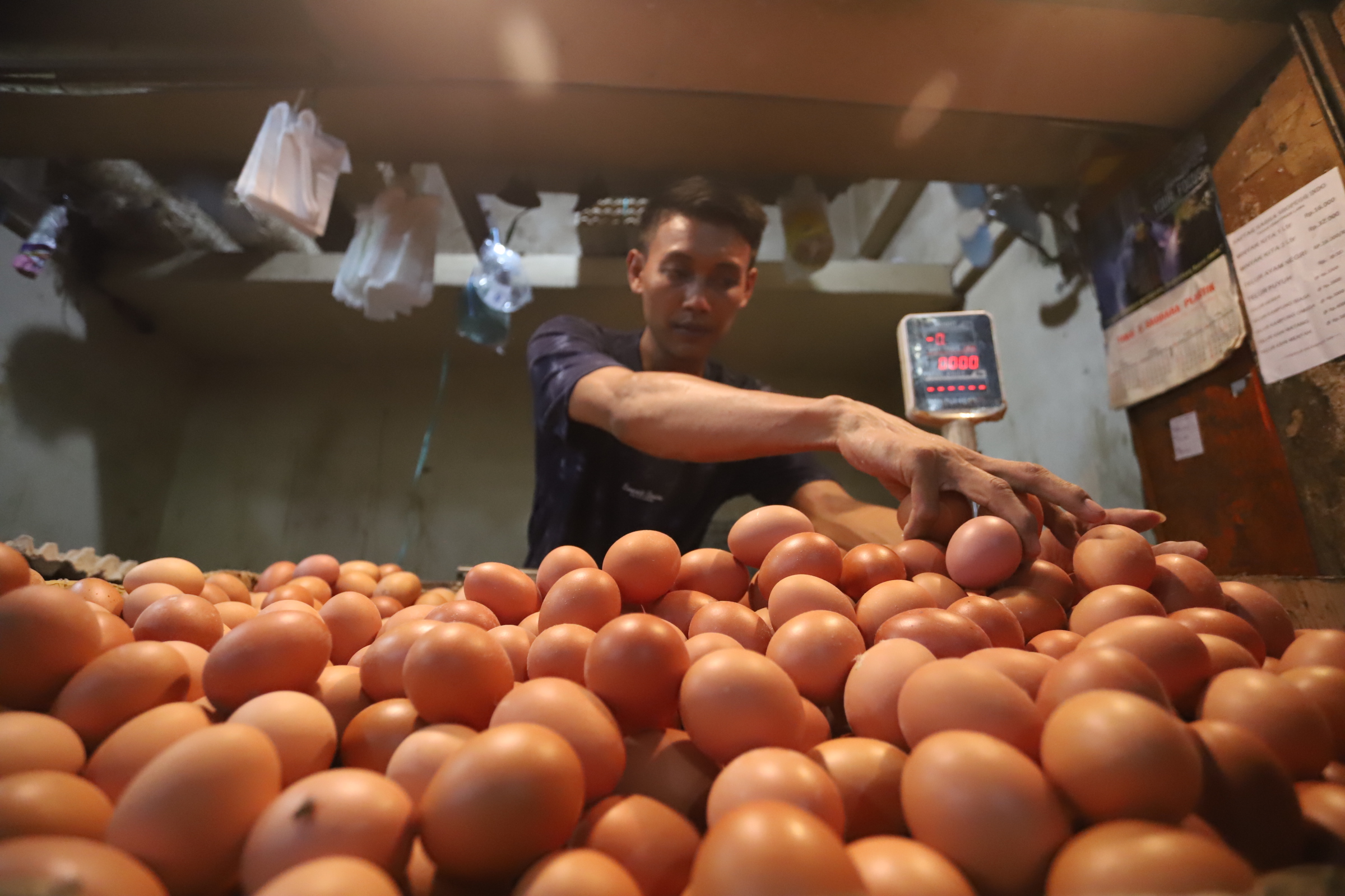 Pedagang saat merapihkan telur ayam di toko miliknya di Pasar Kebayoran Lama, Jakarta,Minggu (5/5/2024).  (BeritaNasional.Com/Oke Atmaja)