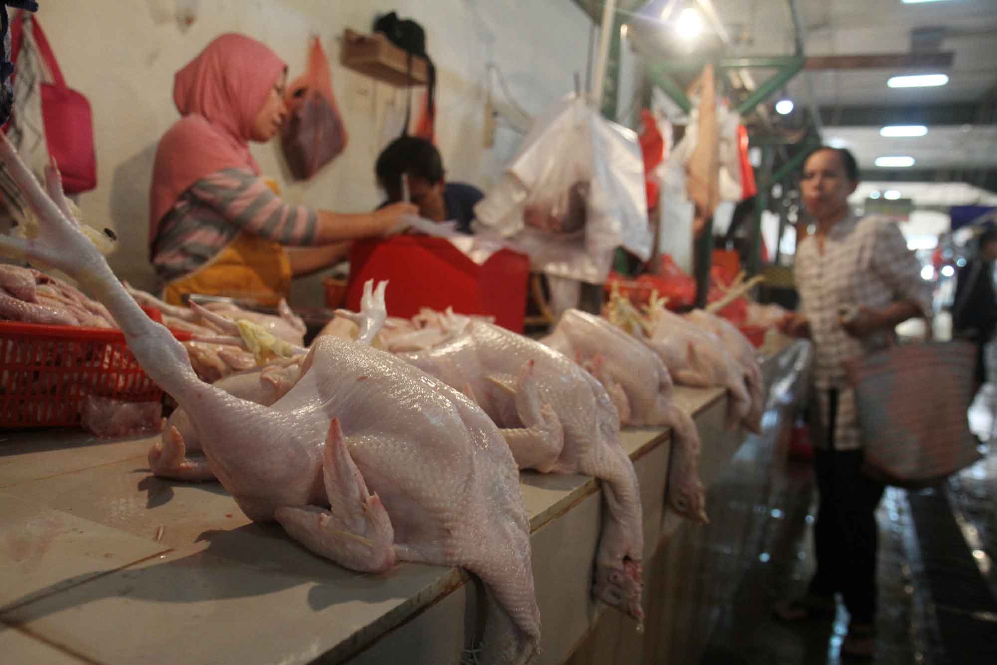 Penjual daging ayam melayani pembeli di Pasar Senen, Jakarta, Selasa (3/3/2026). (Beritanasional.com/Oke Atmaja)