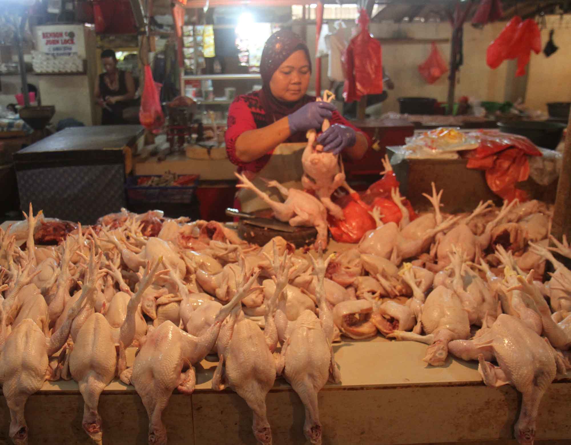 Penjual daging ayam melayani pembeli di Pasar Senen, Jakarta, Selasa (3/3/2026). (Beritanasional.com/Oke Atmaja)