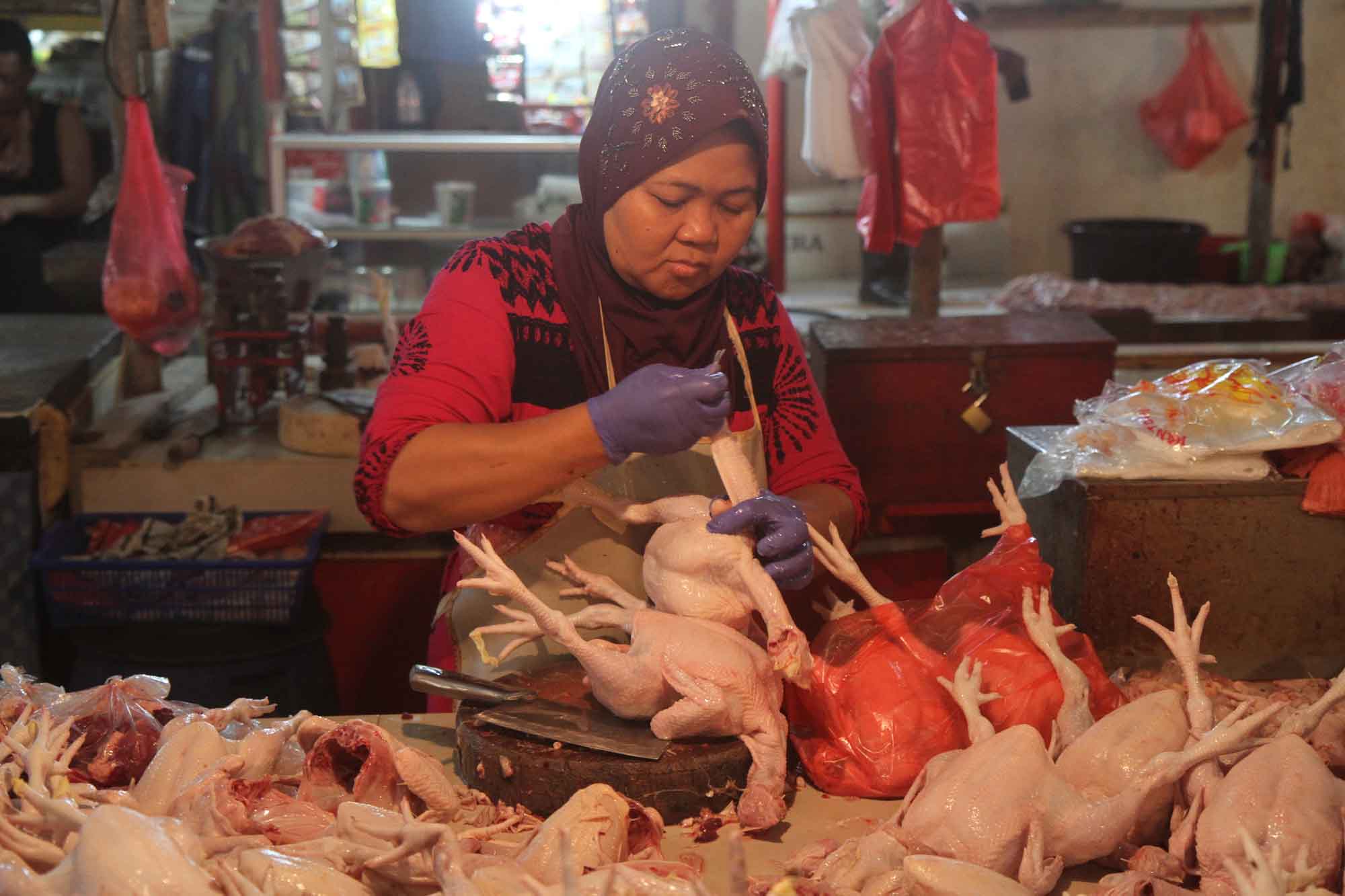Penjual daging ayam melayani pembeli di Pasar Senen, Jakarta, Selasa (3/3/2026). (Beritanasional.com/Oke Atmaja)