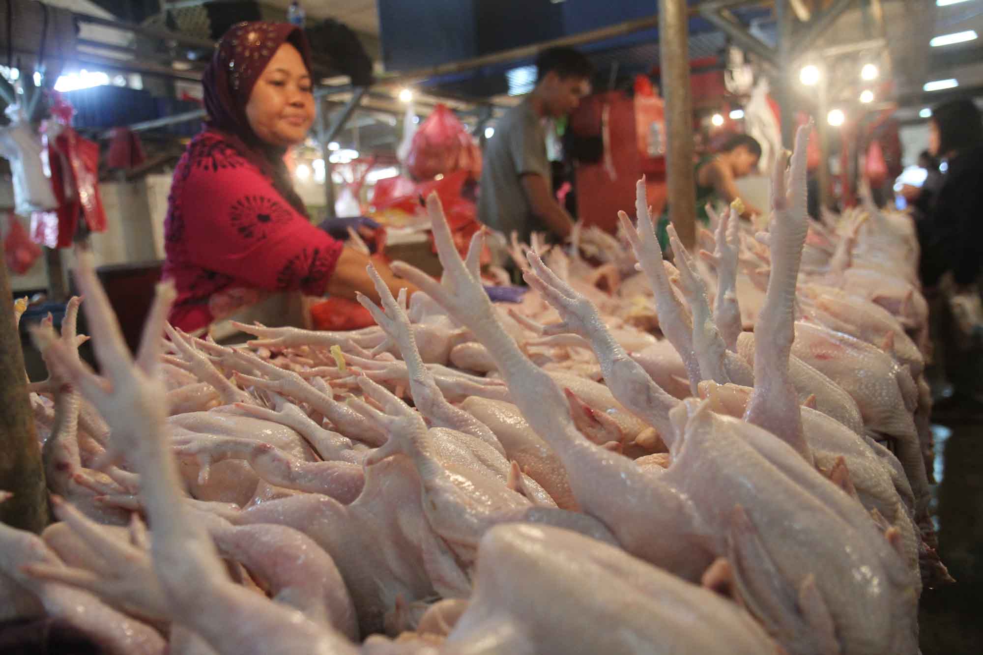 Penjual daging ayam melayani pembeli di Pasar Senen, Jakarta, Selasa (3/3/2026). (Beritanasional.com/Oke Atmaja)