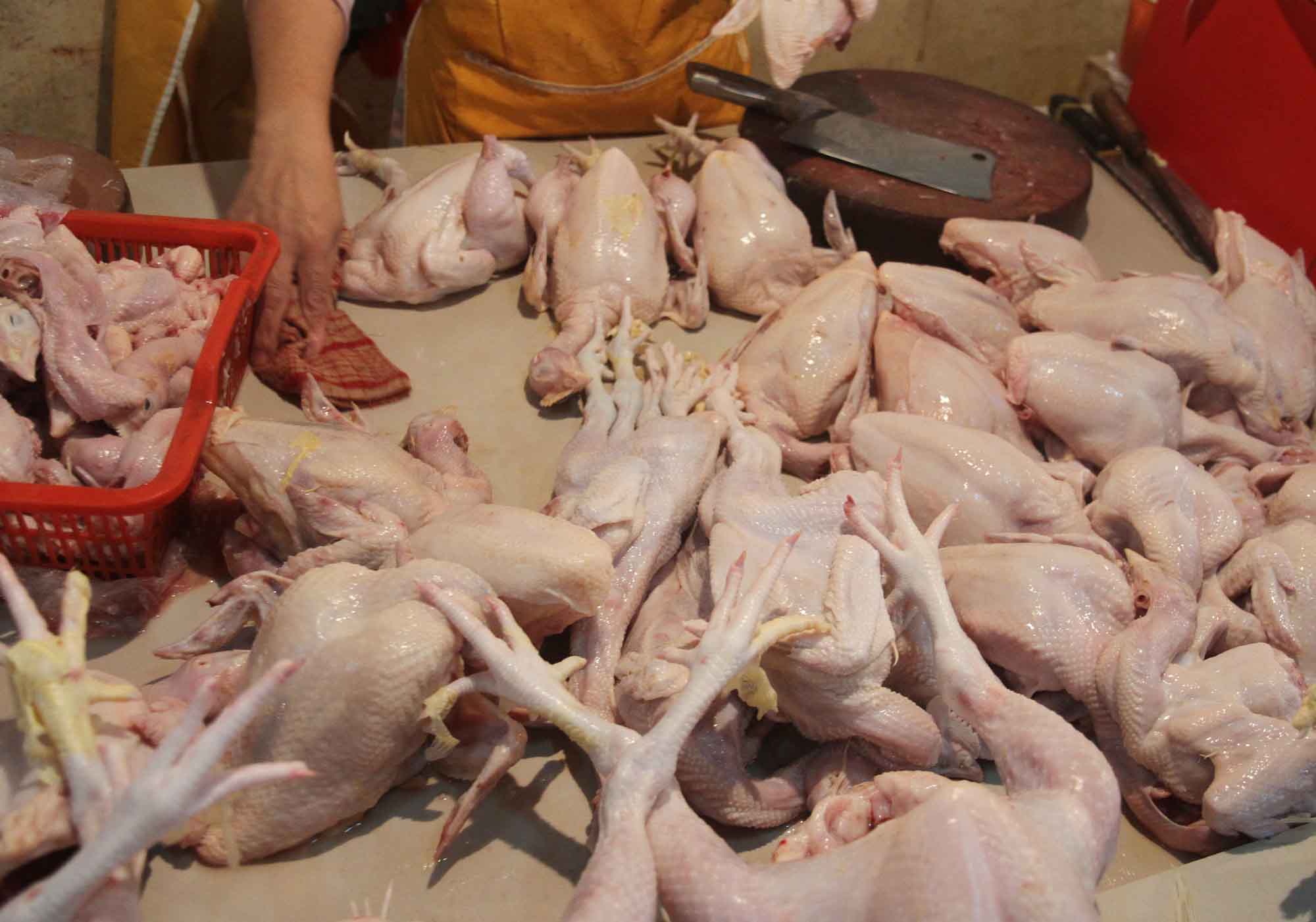 Penjual daging ayam melayani pembeli di Pasar Senen, Jakarta, Selasa (3/3/2026). (Beritanasional.com/Oke Atmaja)