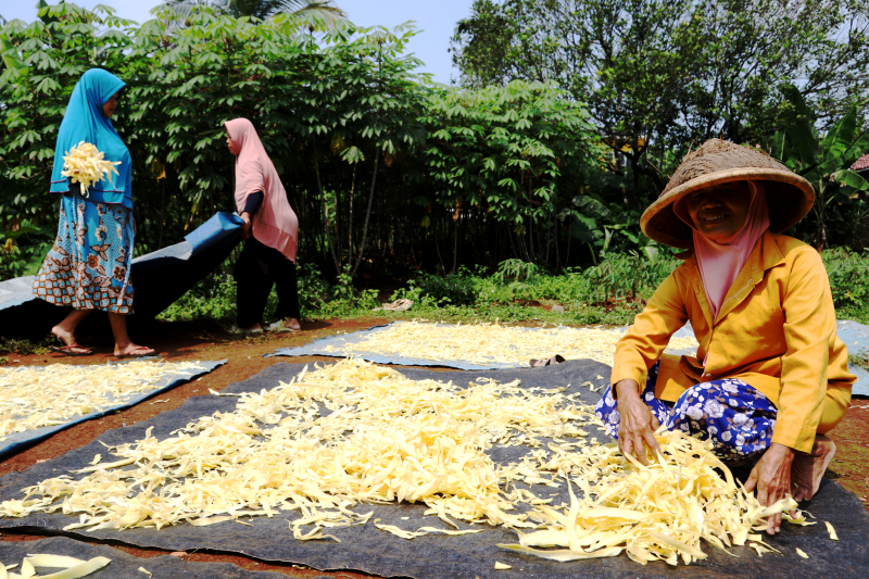 Pekerja pembuatan keripik singkong. (BeritaNasional/Elvis Sendouw)