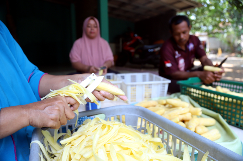 Pekerja pembuatan keripik singkong. (BeritaNasional/Elvis Sendouw)