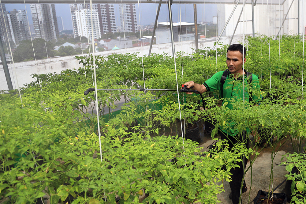 Green House Pasar Jaya Mayestik. (BeritaNasional/Elvis Sendouw)