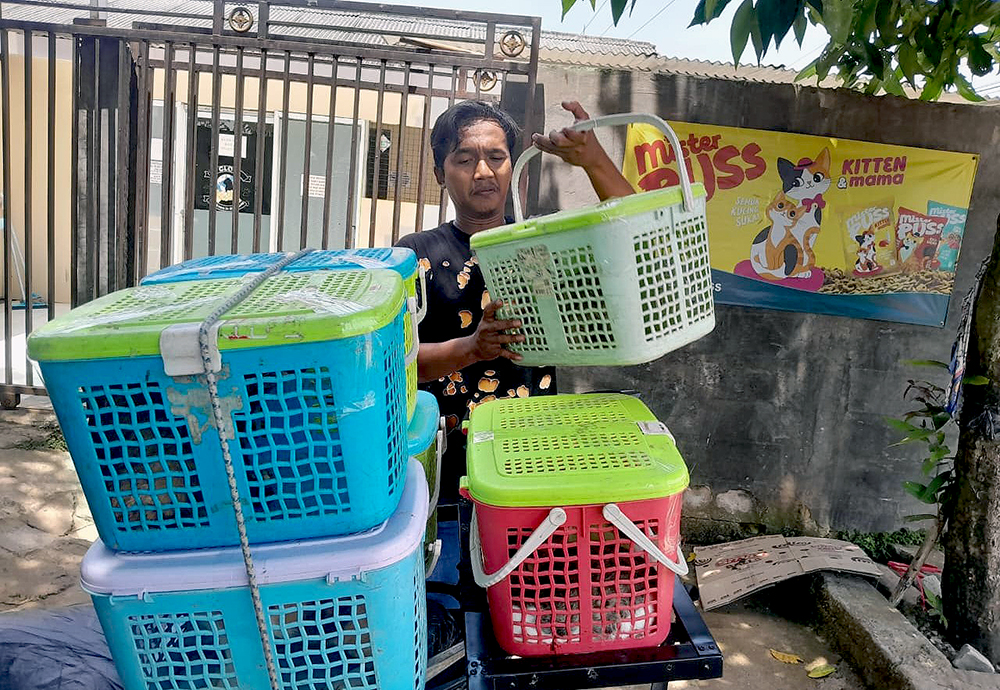 Kucing-kucing jalan yang terlantar dirawat di rumah singgah Clow Parung, Bogor, Jawa Barat. (BeritaNasional/Elvis Sendouw)
