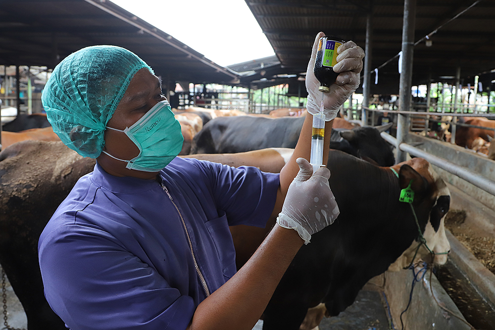 Petugas kesehatan hewan dari dinas pertanian memeriksa kesehatan sapi di CV Puput Bersaudara, Rangkapan Jaya, Depok, Jawa Barat, Selasa (19/5/2026). (BeritaNasional/Elvis Sendouw)