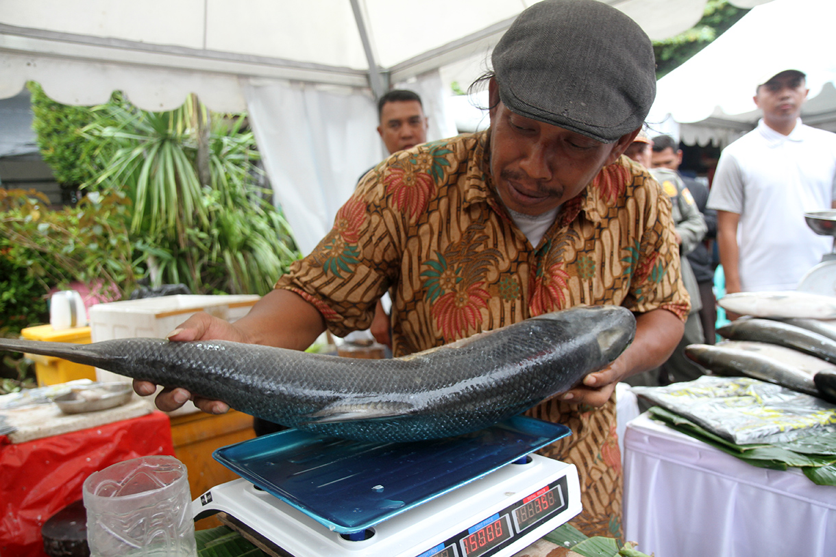 Pedagang sedang menunjukan ikan bandeng di Pasar Rawa Belong, Jakarta Barat, Senin (27/1/2025).(BeritaNasional/Oke Atmaja)