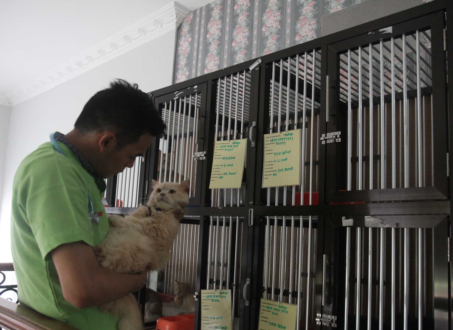 Jasa penitipan hewan di Amore Animal Clinic, Jakarta, Jumat (5/4). (BeritaNasional/Oke Atmaja)