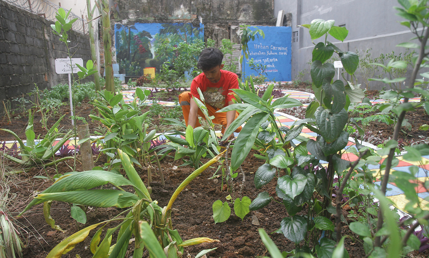 Suasana pemukiman warga di Kebon Sirih Timur, Jakarta, Sabtu (18/5/2024).  (BeritaNasional.com/Oke Atmaja)