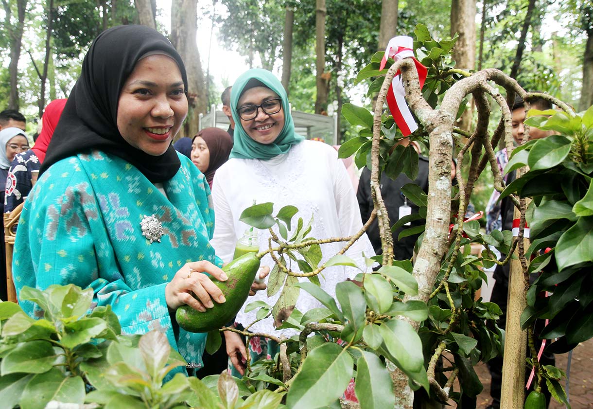 (kiri ke kanan) Sekretaris Direktorat Jenderal, Dr. Muhammad Zainal Arifin bersama Direktur Jenderal PDASRH, Ir. Dyah Murtiningsih, M.Hum dan Istri Wakil Menteri Kehutanan, Arina Sulaiman saat meninjau produk alpukat dalam Pameran Pasar RHL (Rehabilitasi Hutan dan Lahan) di Auditorium Manggala Wanabakti, Jakarta, Rabu (20/8/2025).  (Beritanasional.com/Oke Atmaja)