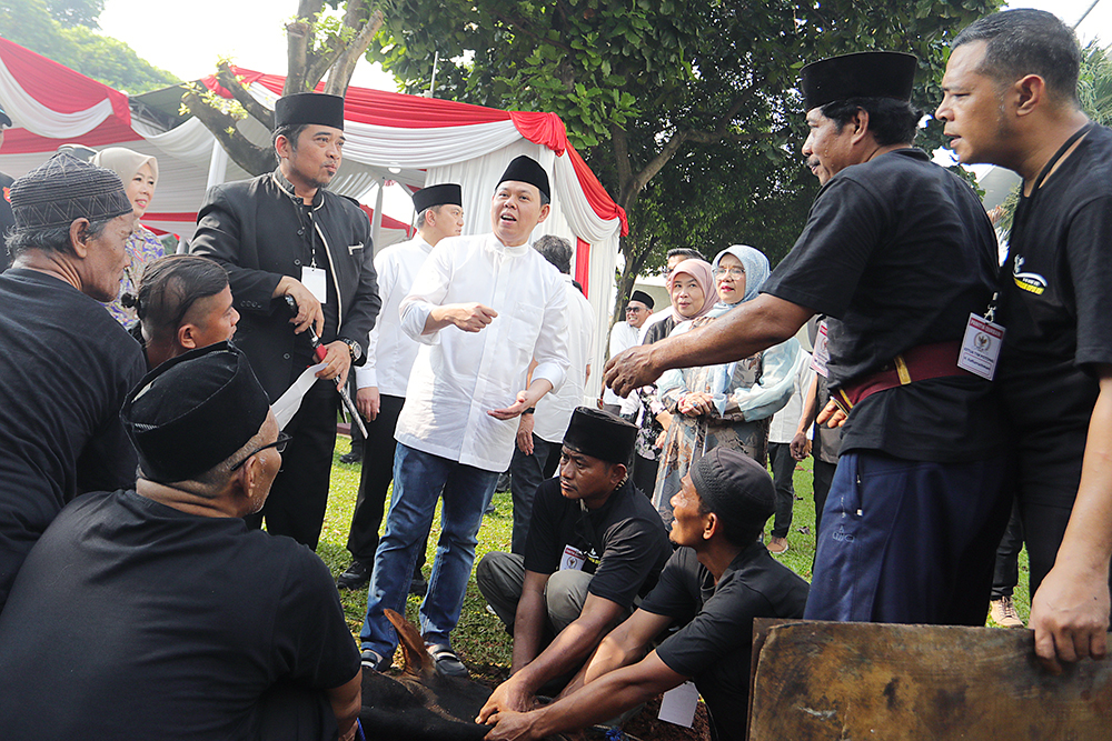 Ketua DPD RI Sembelih Langsung Sapi Kurban Ketua DPD RI Sultan B Najamuddin menyembelih langsung sapi kurban saat agenda pemotongan hewan kurban di lingkungan DPD RI dalam rangka Hari Raya Idul Adha 1446 Hijriah. (BeritaNasional/Elvis Sendouw)