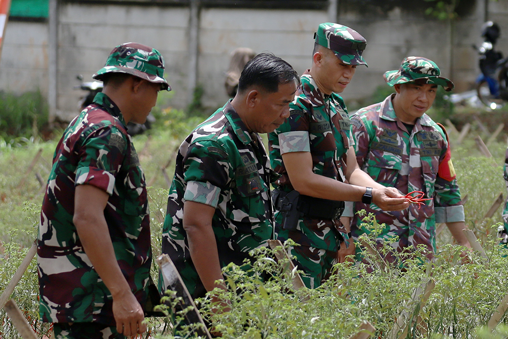 Kodim 0508/Depok bersama warga memanen cabai di lahan Urban Farming Pesona Square Depok. (BeritaNasional/Elvis Sendouw)