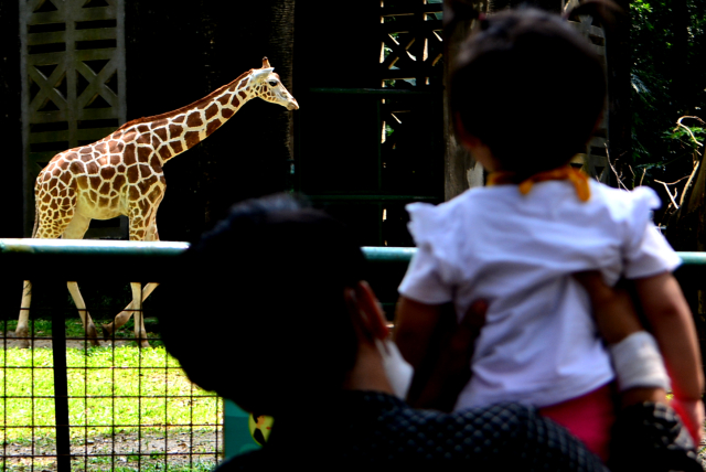 Wisatawan lokal mengisi waktu libur nataru ke Taman Margasatwa Ragunan. (BeritaNasional/Elvis Sendouw)