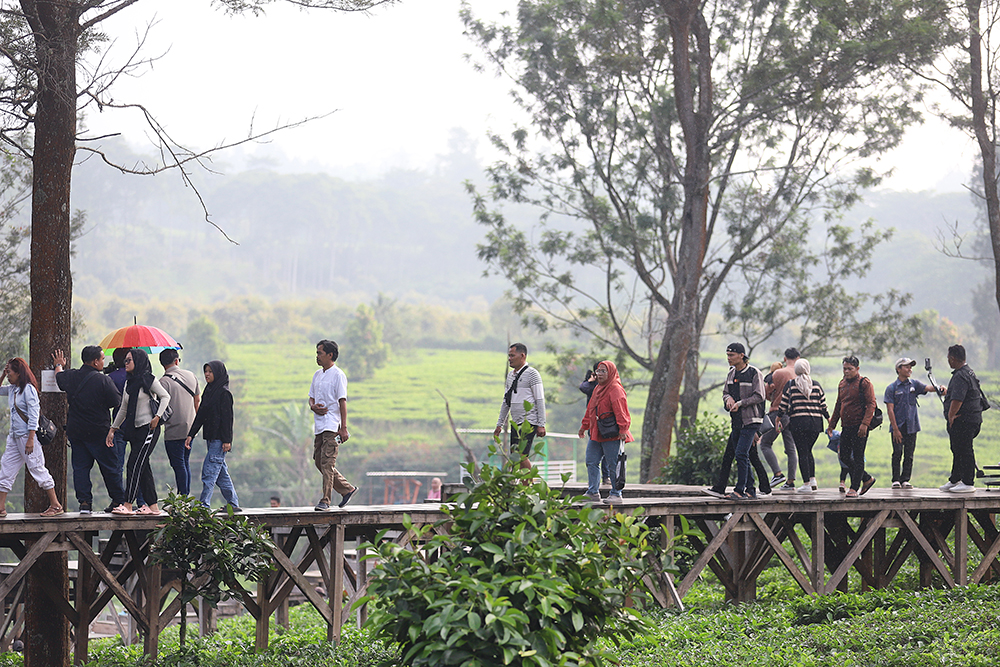 Wisatawan menikmanti pemandangan di wahana Tea Bridge, Agrowisata Gunung Mas, Cisarua, Bogor. (BeritaNasional/Elvis Sendouw)
