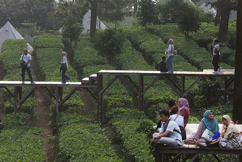 Wisatawan menikmanti pemandangan di wahana Tea Bridge, Agrowisata Gunung Mas, Cisarua, Bogor. (BeritaNasional/Elvis Sendouw)