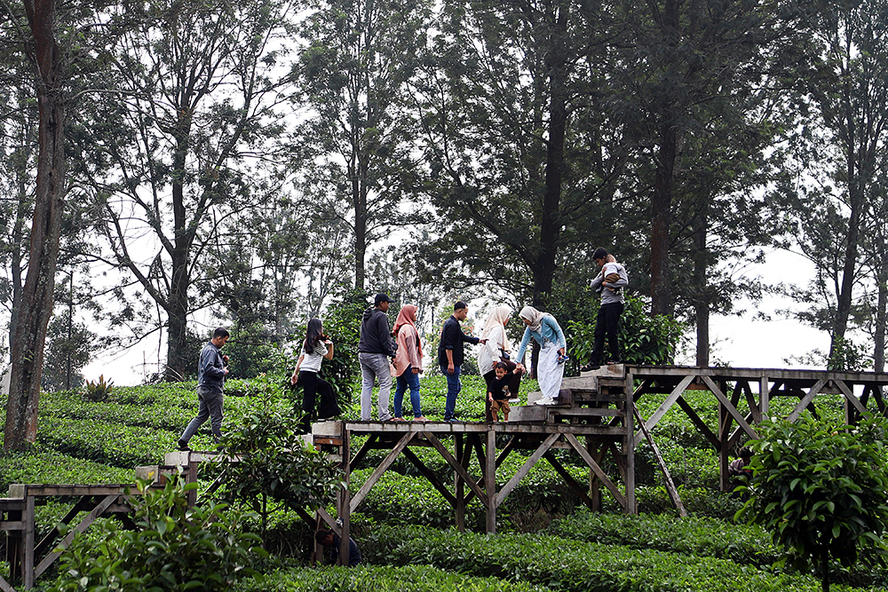 Wisatawan menikmanti pemandangan di wahana Tea Bridge, Agrowisata Gunung Mas, Cisarua, Bogor. (BeritaNasional/Elvis Sendouw)