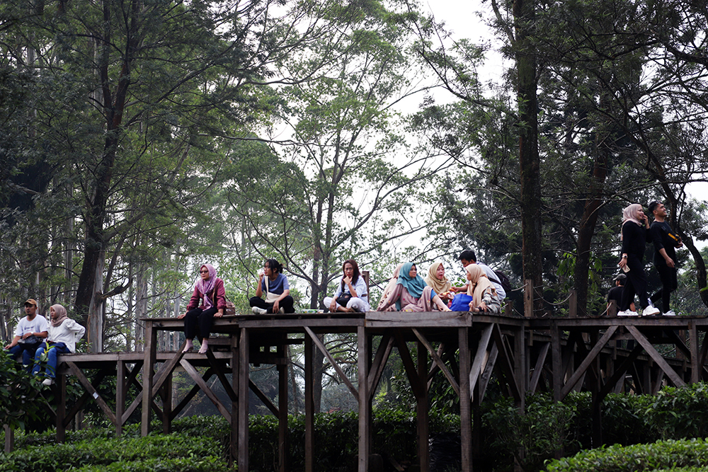 Wisatawan menikmanti pemandangan di wahana Tea Bridge, Agrowisata Gunung Mas, Cisarua, Bogor. (BeritaNasional/Elvis Sendouw)