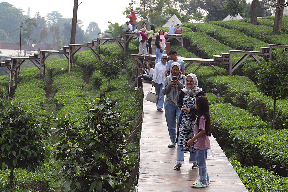 Wisatawan menikmanti pemandangan di wahana Tea Bridge, Agrowisata Gunung Mas, Cisarua, Bogor. (BeritaNasional/Elvis Sendouw)