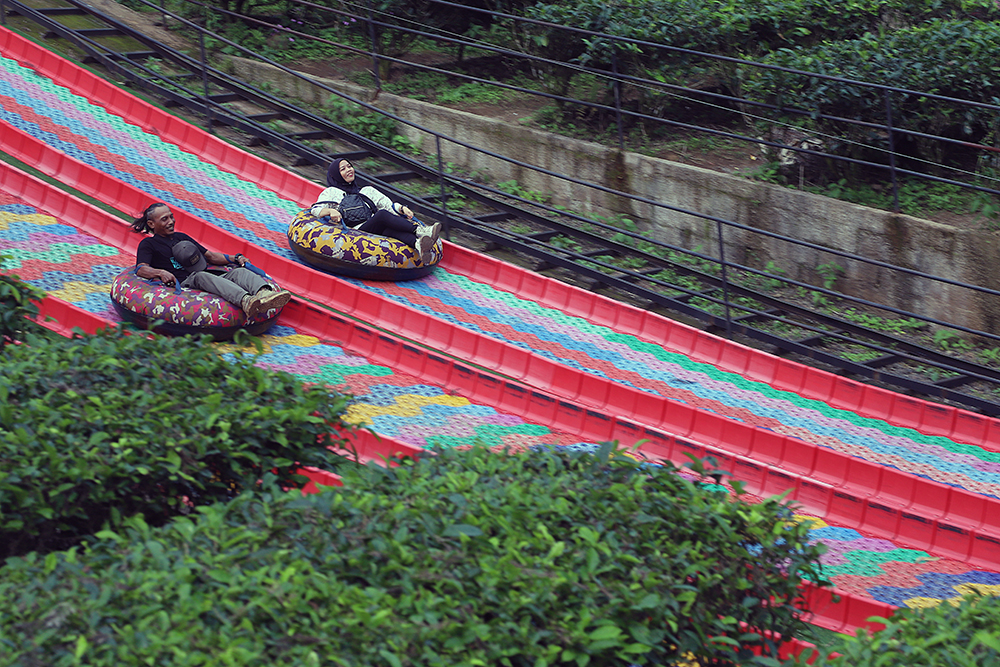 Wisatawan menikmanti pemandangan di wahana Tea Bridge, Agrowisata Gunung Mas, Cisarua, Bogor. (BeritaNasional/Elvis Sendouw)