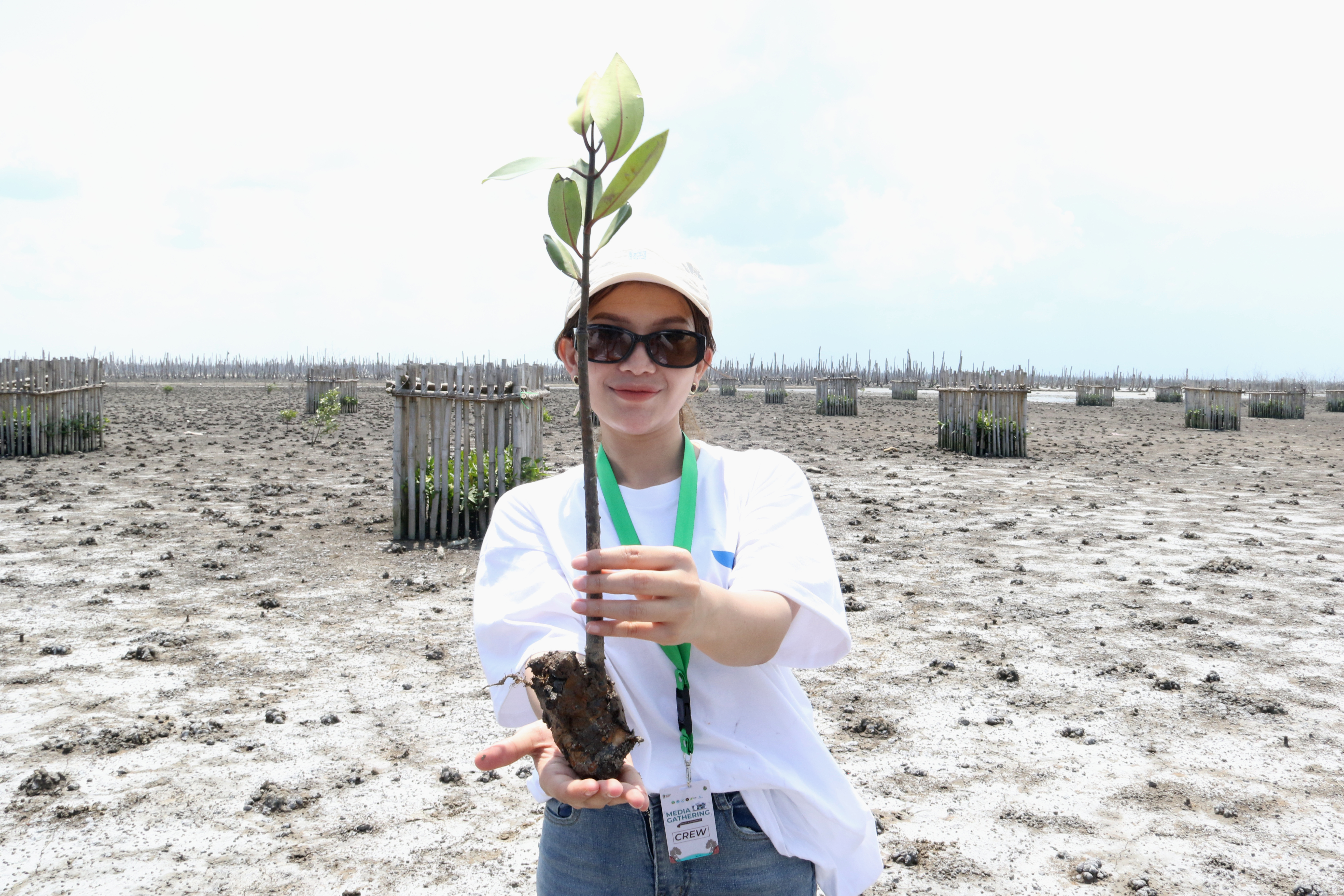 PPIU Manager M4CR Provinsi Riau, Arif Fahrurozi melakukan edukasi pembudidayaan tanaman mangrove di kawasan Desa Kuala Selat, Indragiri Hilir, Provinsi Riau, Kamis (25/9/2025). (Beritanasional.com/Oke Atmaja)