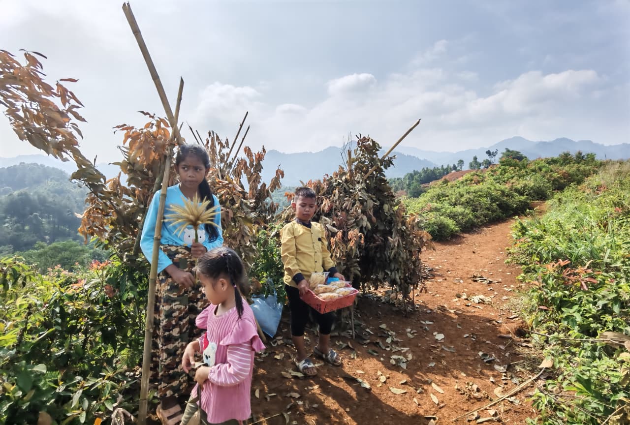 Anak-anak menjajakan hasil kebun kepada wisatawan di jalur tracking Sentul. (BeritaNasional/Elvis Sendouw)
