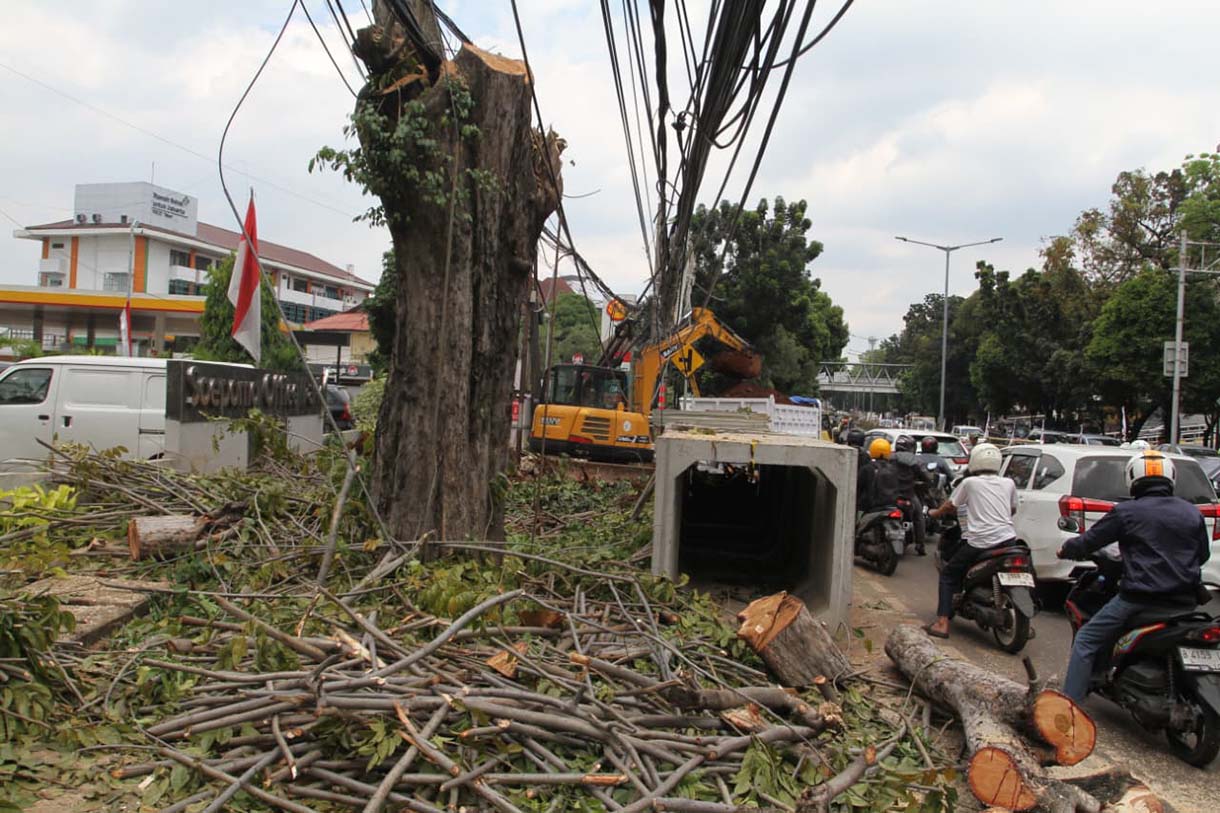 Ngeri, Tiang Listrik di Tebet Miring Ancam Keselamatan Warga Sejumlah tiang listrik di perempatan Jalan Prof. Dr. Supomo menuju Jalan Tebet Raya, Jakarta Selatan, Kamis (4/9/2025).(Beritanasional.com/Oke Atmaja)