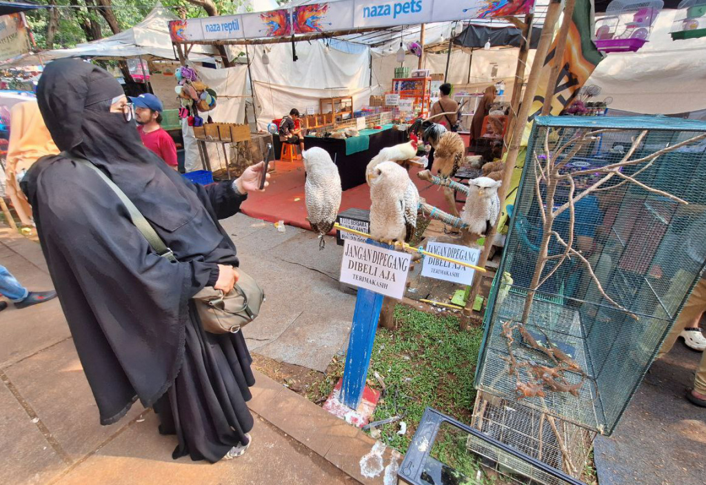 Pengunjung memilih tanaman saat pameran Flona 2024 di Lapangan Banteng, Jakarta, Kamis (10/7/2024).  (Berita nasional.com/Oke Atmaja)