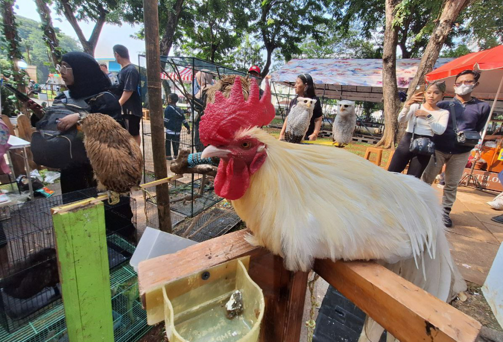 Pengunjung memilih tanaman saat pameran Flona 2024 di Lapangan Banteng, Jakarta, Kamis (10/7/2024).  (Berita nasional.com/Oke Atmaja)