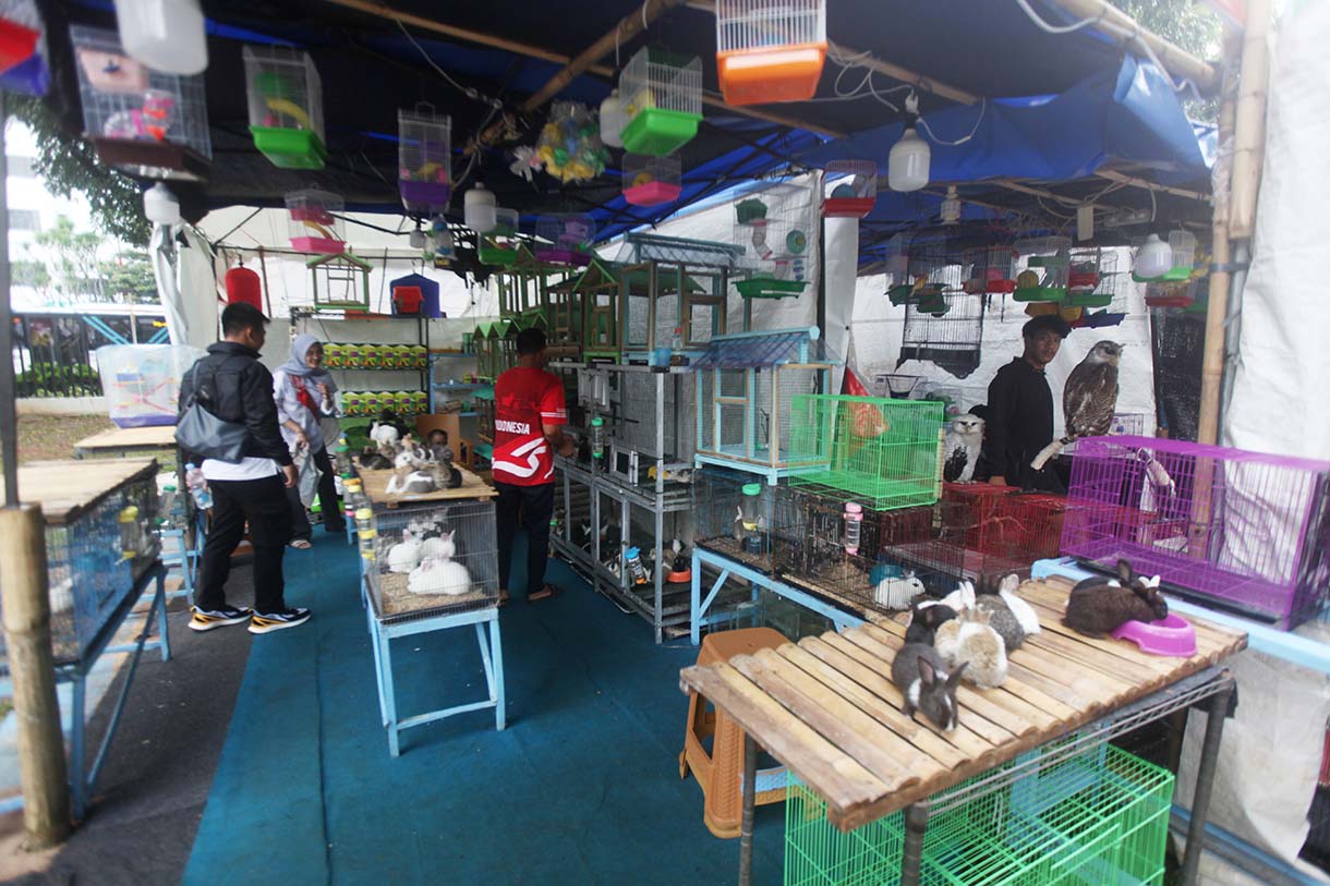 Suasana Pameran Flora dan Fauna (Flona) 2025 di Taman Lapangan Banteng, Jakarta, Rabu (20/8/2025). (Beritanasional.com/Oke Atmaja)