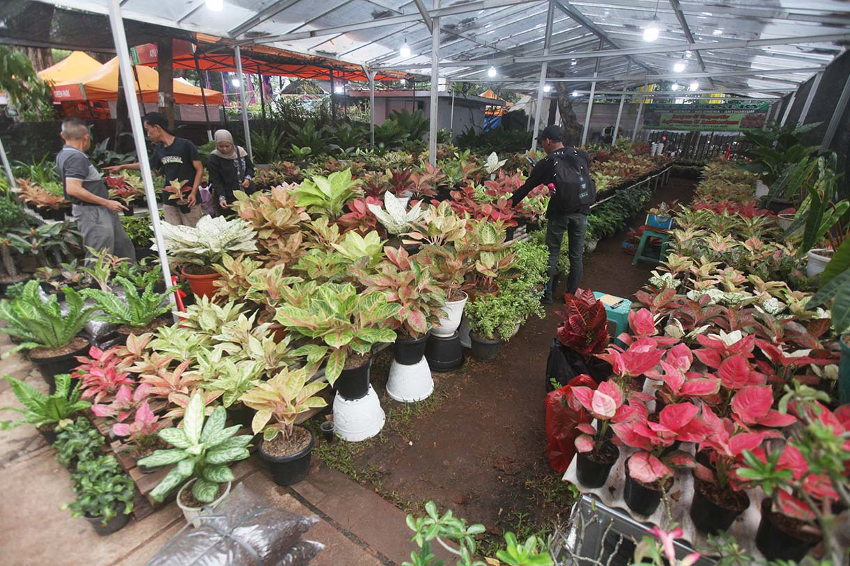 Suasana Pameran Flora dan Fauna (Flona) 2025 di Taman Lapangan Banteng, Jakarta, Rabu (20/8/2025). (Beritanasional.com/Oke Atmaja)