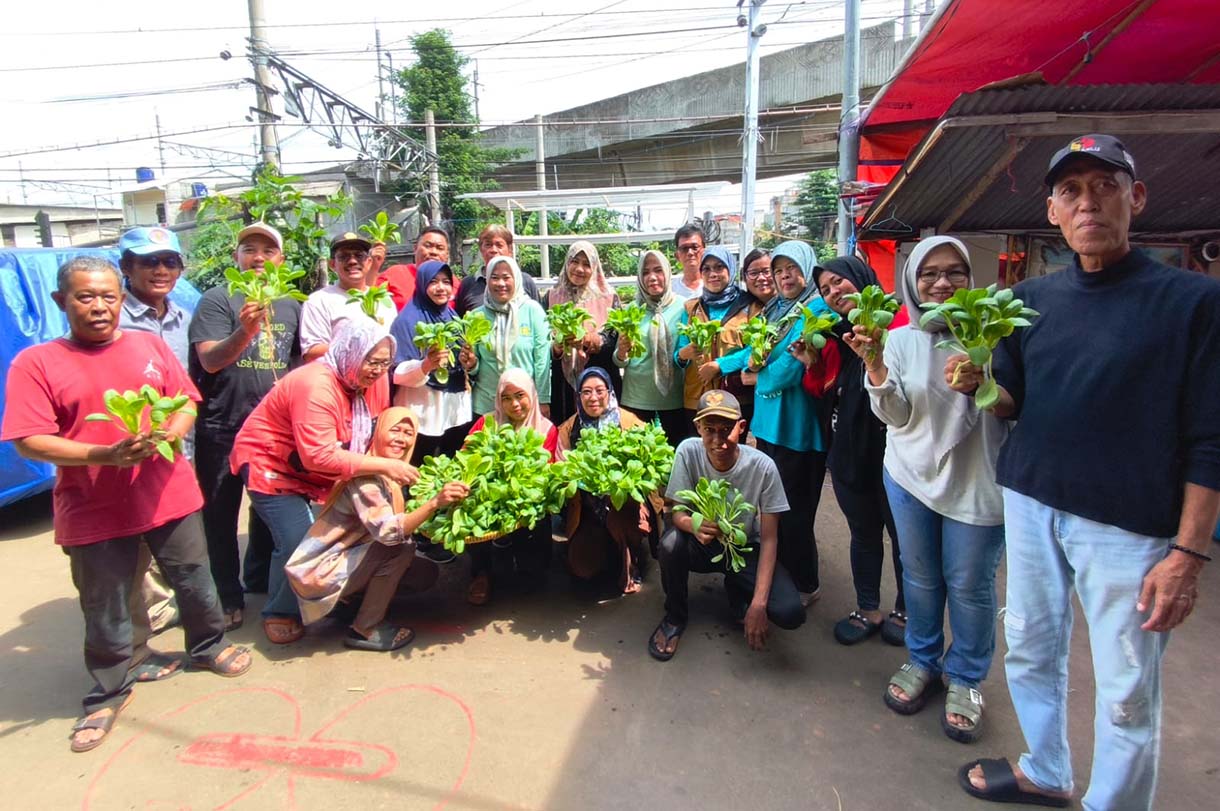 Pengurus RW 08 Bersama anggota PKK memanen sayur pakcoy di Menteng Jaya, Jakarta,Sabtu(13/12/2025). (Beritanasional.com/Oke Atmaja)