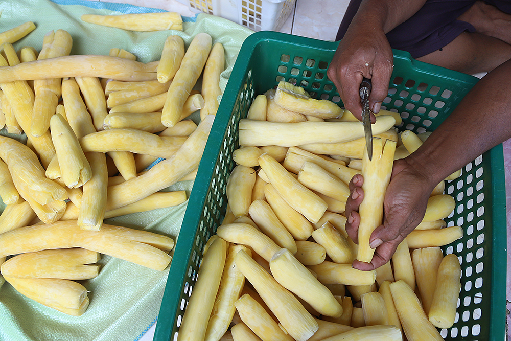 Pekerja usaha rumahan membuat olahan berdasar dari singkong yang diubah menjadi makanan keripik. (BeritaNasional/Elvis Sendouw)