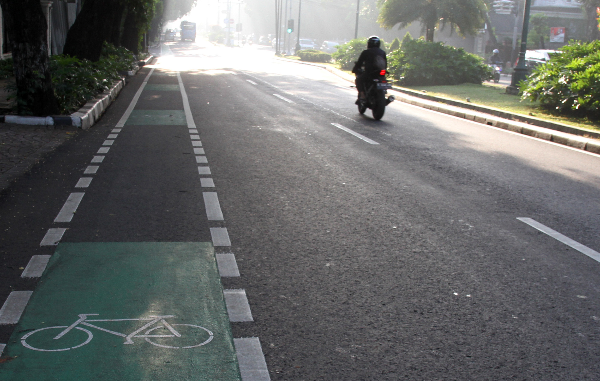 Pesepeda melintas di jalur sepeda di Jalan Diponegoro, Jakarta,Rabu (2/1/2024).(BeritaNasional.com/Oke Atmaja)