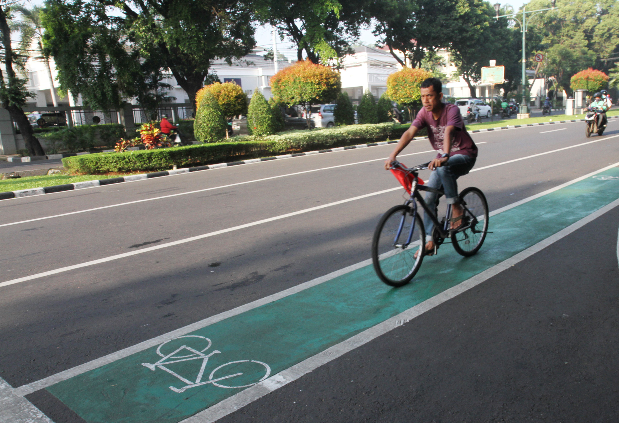 Pesepeda melintas di jalur sepeda di Jalan Diponegoro, Jakarta,Rabu (2/1/2024).(BeritaNasional.com/Oke Atmaja)