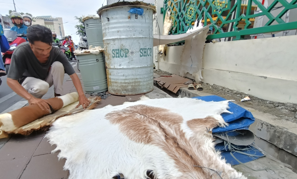 Pedagang merapihkan beduk kulit kambing dan sapi di Jalan Mas Mansyur, Tanah Abang, Jakarta Pusat, Minggu (9/3/2025).  (BeritaNasional.com/Oke Atmaja)