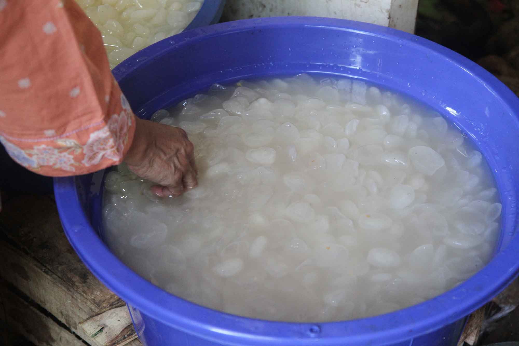 Pedagang membersihkan kolang-kaling di Pasar Rumput, Jakarta Selatan, Kamis (21/3/2024).(IndonesiaGlobe/Oke Atmaja)