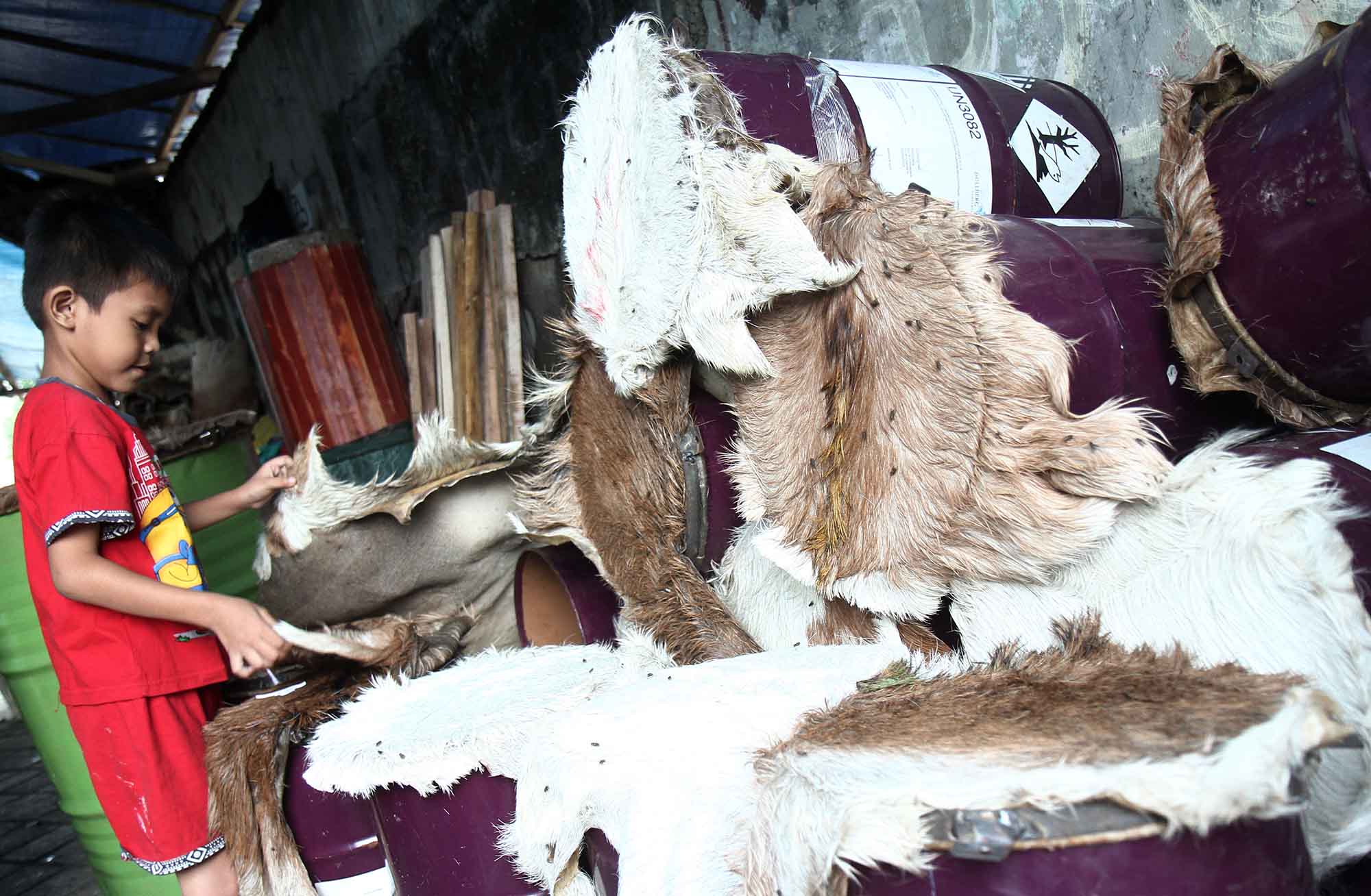 Pedagang membuat beduk kulit kambing dan sapi di Jalan Mas Mansyur, Tanah Abang, Jakarta Pusat, Kamis(12/3/2026).  (Beritanasional.com/Oke Atmaja)