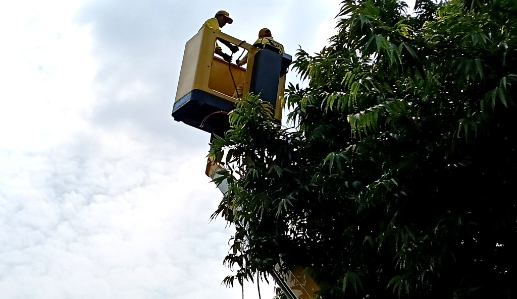 Perawatan Lampu Penerang Jalan Petugas Bina Marga memperbaiki lampu penerangan jalan di Jalan Gatot Subroto, Jakarta, Rabu (4/6/2025). (Beritanasional.com/Oke Atmaja)