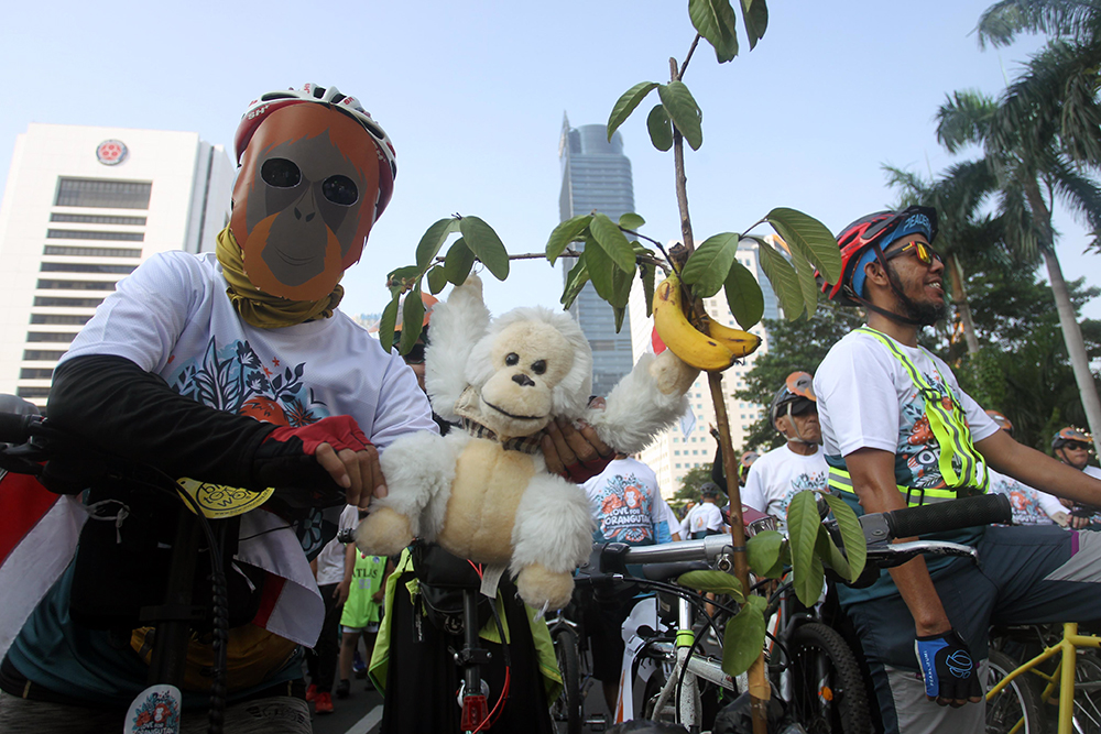 Organsasi Satya Bumi bersama komunitas sepeda dan jurnalis memperigati Hari Orangutan Sedunia. (BeritaNasional/HO Satya Bumi/Jefta Tarigan/Elvis Sendouw)