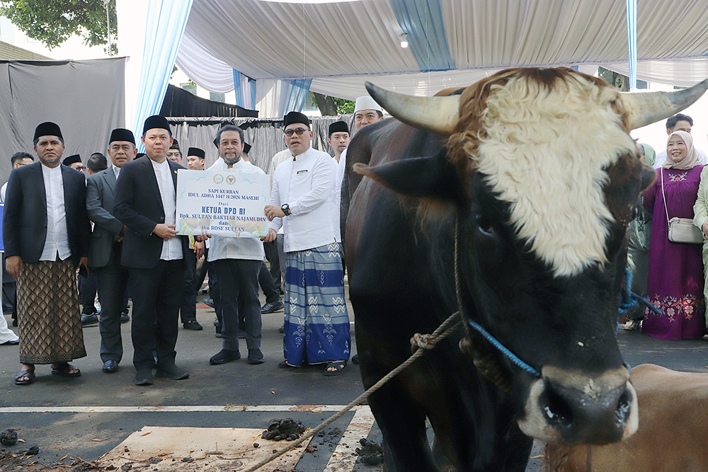 Pimpinan DPD RI serahkan sapi kurban Idul Adha 1447 Hijriah. (BeritaNasional/Elvis Sendouw)