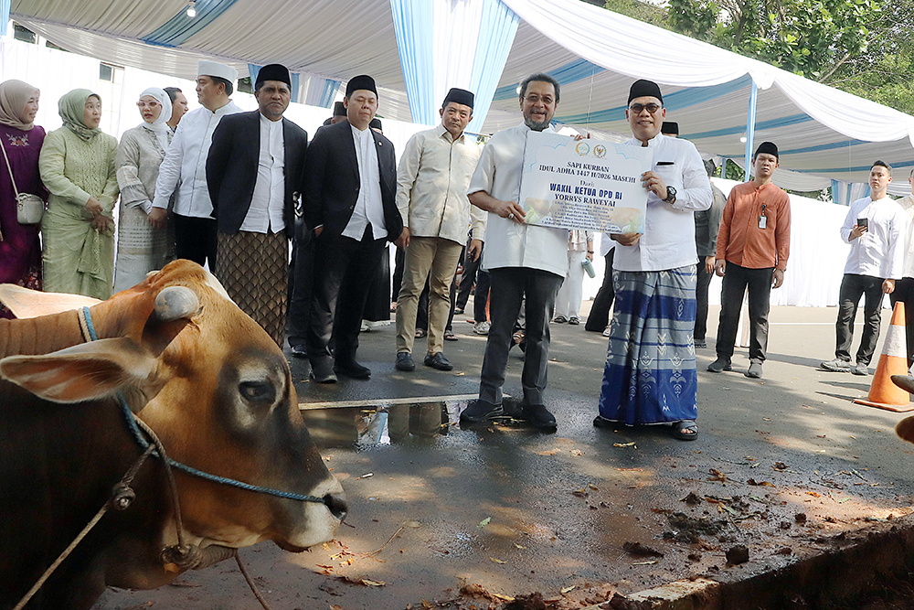 Pimpinan DPD RI serahkan sapi kurban Idul Adha 1447 Hijriah. (BeritaNasional/Elvis Sendouw)