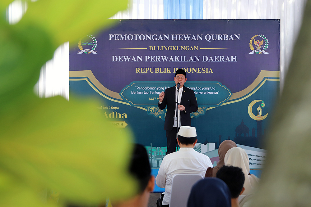 Pimpinan DPD RI serahkan sapi kurban Idul Adha 1447 Hijriah. (BeritaNasional/Elvis Sendouw)