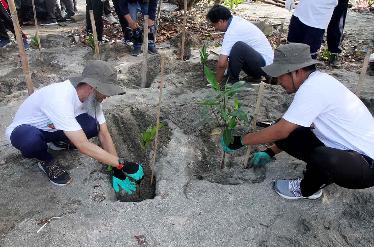 General Manager PLN Indonesia Power UBP Priok, Buyung Arianto menanam manggrove di kawasan pesisir Tanjung Priok, Jakarta, Jumat (13/6/2025).(Beritanasional.com/Oke Atmaja)