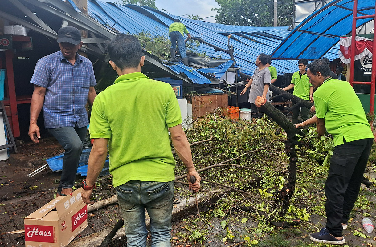 Petugas dibantu pedagang mengevakuasi sebatang pohon yang tumbang di Pasar Senin, Jakarta, Senin (02/12/2024). (BeritaNasional.com/Oke Atmaja)