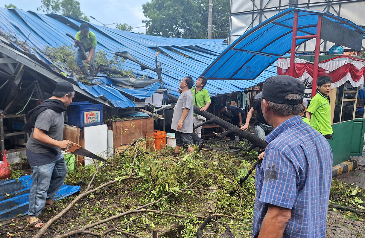 Petugas dibantu pedagang mengevakuasi sebatang pohon yang tumbang di Pasar Senin, Jakarta, Senin (02/12/2024). (BeritaNasional.com/Oke Atmaja)