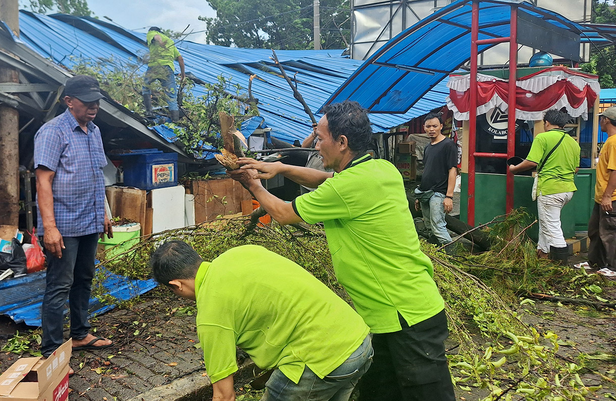 Petugas dibantu pedagang mengevakuasi sebatang pohon yang tumbang di Pasar Senin, Jakarta, Senin (02/12/2024). (BeritaNasional.com/Oke Atmaja)