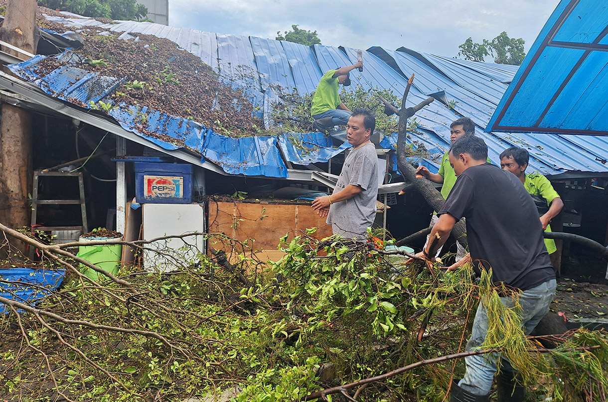 Petugas dibantu pedagang mengevakuasi sebatang pohon yang tumbang di Pasar Senin, Jakarta, Senin (02/12/2024). (BeritaNasional.com/Oke Atmaja)